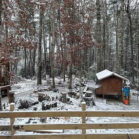 Beautiful & Peaceful Cabin W/ Deck Garden & Fire-Pit Murphy Exterior foto