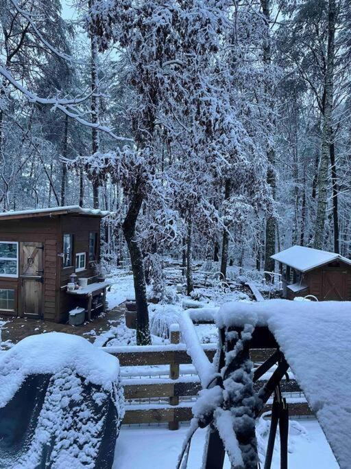 Beautiful & Peaceful Cabin W/ Deck Garden & Fire-Pit Murphy Exterior foto