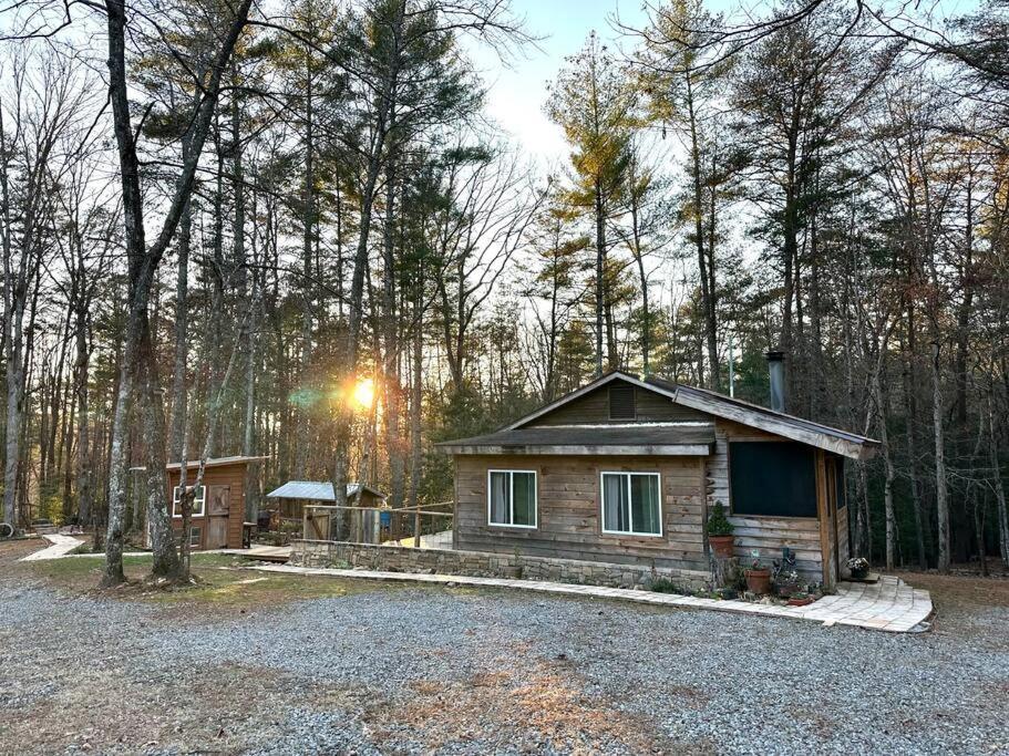 Beautiful & Peaceful Cabin W/ Deck Garden & Fire-Pit Murphy Exterior foto